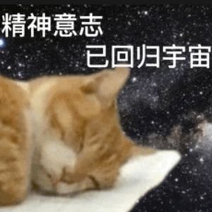 Vol.40 睡饱以后,我眼里的世界都变得简单了