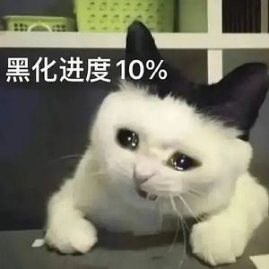 我不是你的慰藉