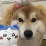 阿童木h