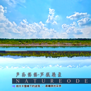 声态悠悠·芦菰蜃景