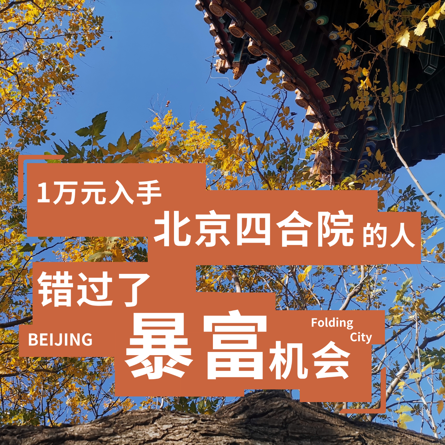 城市折叠02：一万元入手北京四合院的人，错过了暴富机会 episode artwork