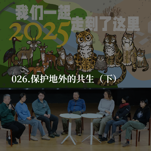 026.深入盗猎的四种动机:报复、补贴、习俗、职业,然后呢?