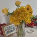 花儿朵朵向太阳