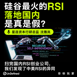 搅动硅谷AI圈上百亿的、国内马上要火的RSI，我先聊明白了 | 星连资本行研总监沈筱来科普解惑