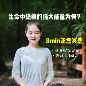 vol.008【芝麻冥想】|被忽视的强大能量+赋能降噪的大自然冥想