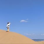罗琳女士
