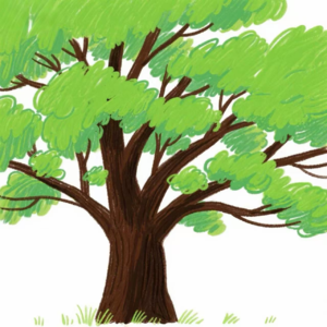 布鲁克林有棵树