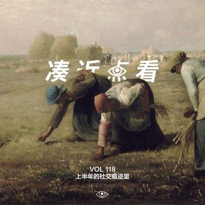 VOL 118 - 上半年的社交痕迹里：丧气的中产无处可藏