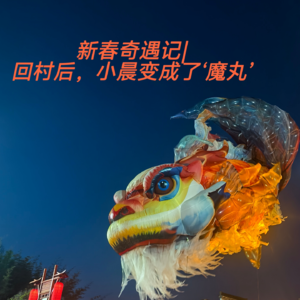 新春奇遇记|回村后，小晨变成了‘魔丸’