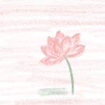 辰晞吖