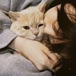 cc梨雨橙