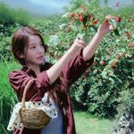 素若安