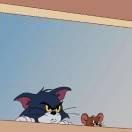 笨猫_QbYT