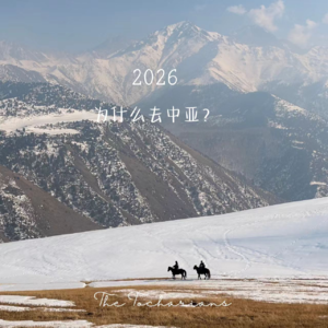 为什么去中亚？中亚与新疆的比较分析