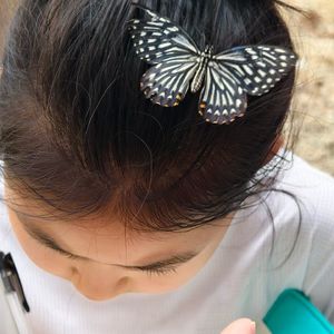 一堂户外观察课：观虫、自然笔记、孩子的好奇心｜六一特辑 159