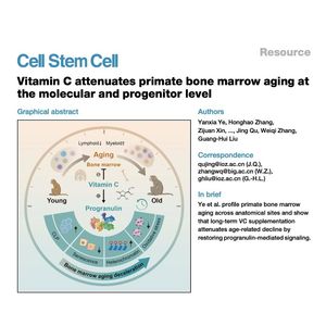 1379-Vitamin C Decelerates Primate Bone Marrow Aging