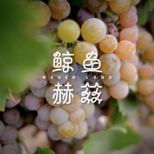 Vol.279 问：从武威到兰州，等于几杯葡萄美酒加几碗牛肉面？