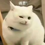 把我的三弦拿来