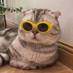 海报贴满房间
