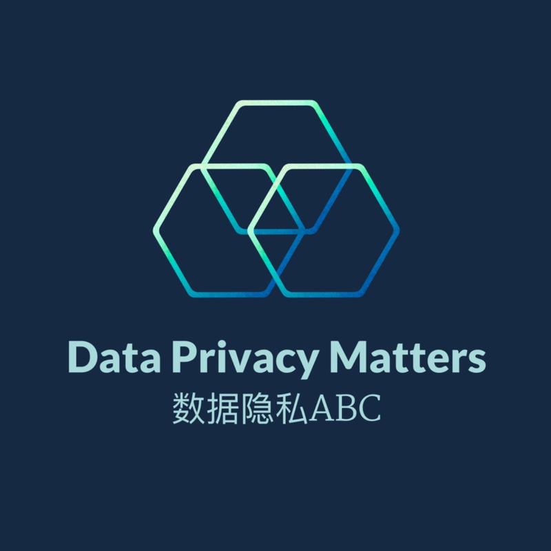 Vol.18 从内卷到出海：中资网安企业的破浪之行