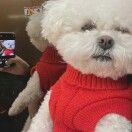 百香果双响炮仗