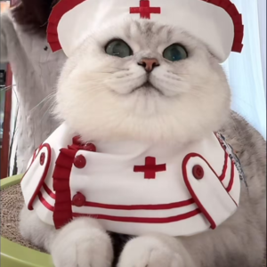 资本市场舆情解读【11月13日】