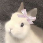 小Luuuuuuu