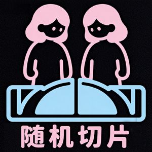 随机切片