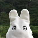 一只狼人