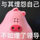 小豆丁_g9vN