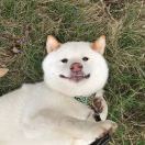 背道而驰