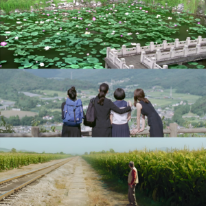 EP1：甄嬛看荷花的第十四年，我们在看什么？