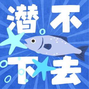 Q 19 潜水花销@省钱小妙招