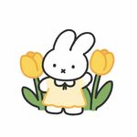 bibijo