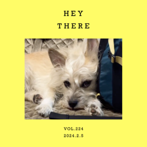 vol.224：和春天一起回来～