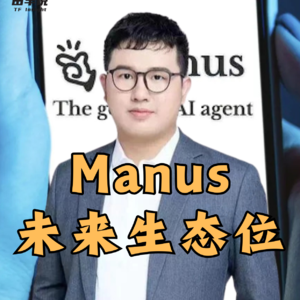 第430集 Manus未来生态位