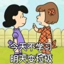 知知不是芝芝