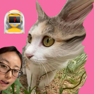 085-所以，和屏幕结婚了？