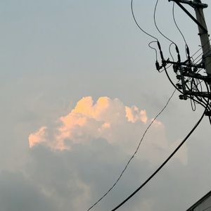 泥嚎窝是苏苏大王吖