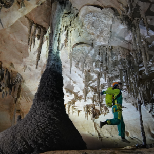 #50：武嘉蓓 |自然的经过这个世界