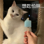 2024夏季养生指南：吹空调喝冰镇酸梅汤的正确姿势