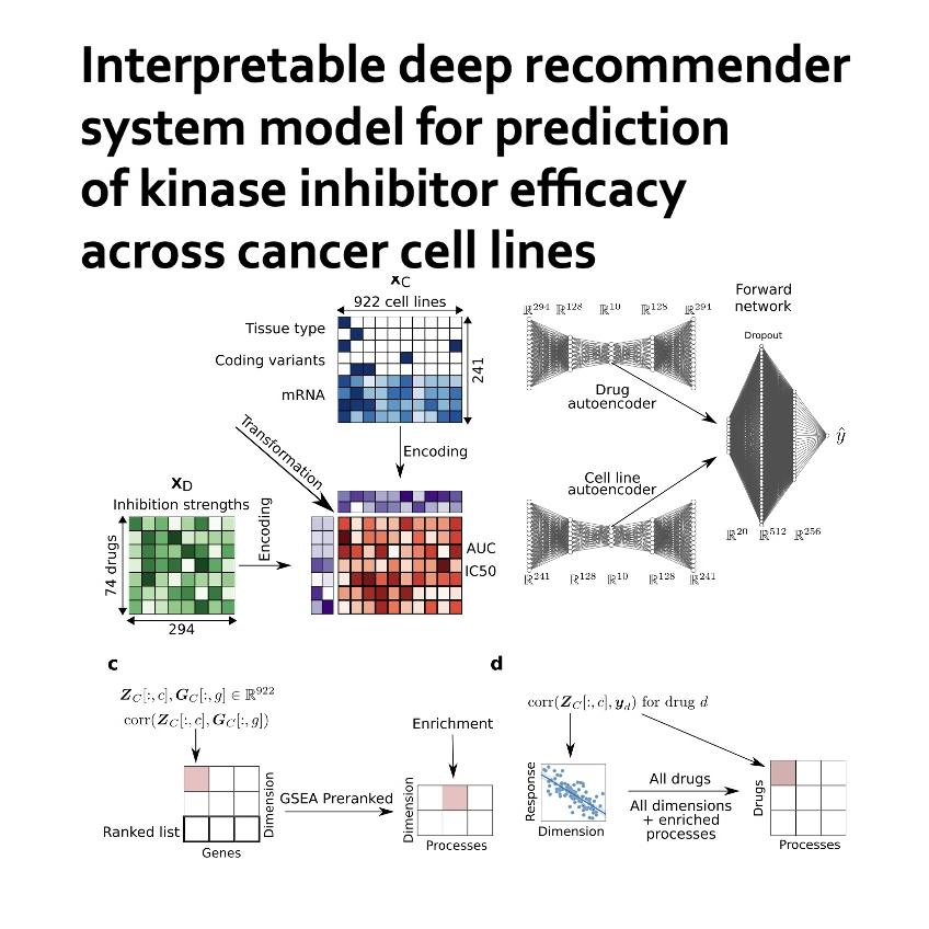 1373-DEERS: for Cancer Drug Sensitivity Prediction episode artwork