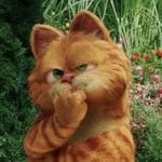 猫标