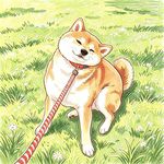 MORGAN贝鹅