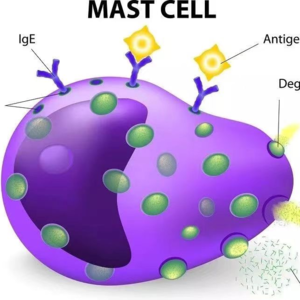 43.春敏四大件：鼻炎、哮喘、荨麻疹、结膜炎！《当代青年苟活指南（过敏篇)》