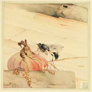 9. 爬宠饲养与《昆虫记》：一场关于热爱、学习与生命的对谈