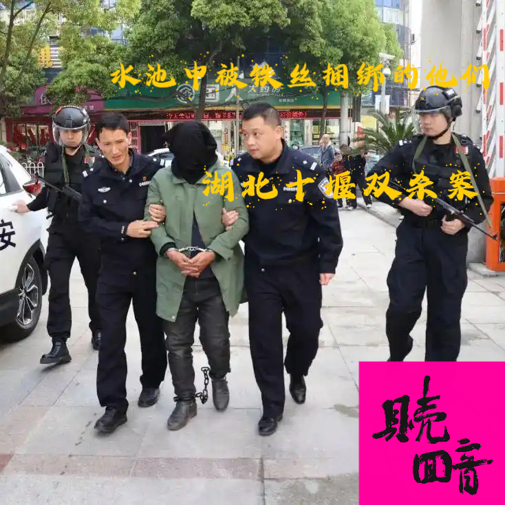 EP33.水池中被铁丝捆绑的他们-湖北十堰双杀案 episode artwork