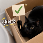 卡拉ok vol.1 wui229