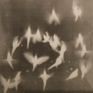 vol.10 金爱烂《你的夏天还好吗》：首尔的夏天也像是我们的夏天，紧迫而闷热