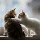 心理咨询师余婧